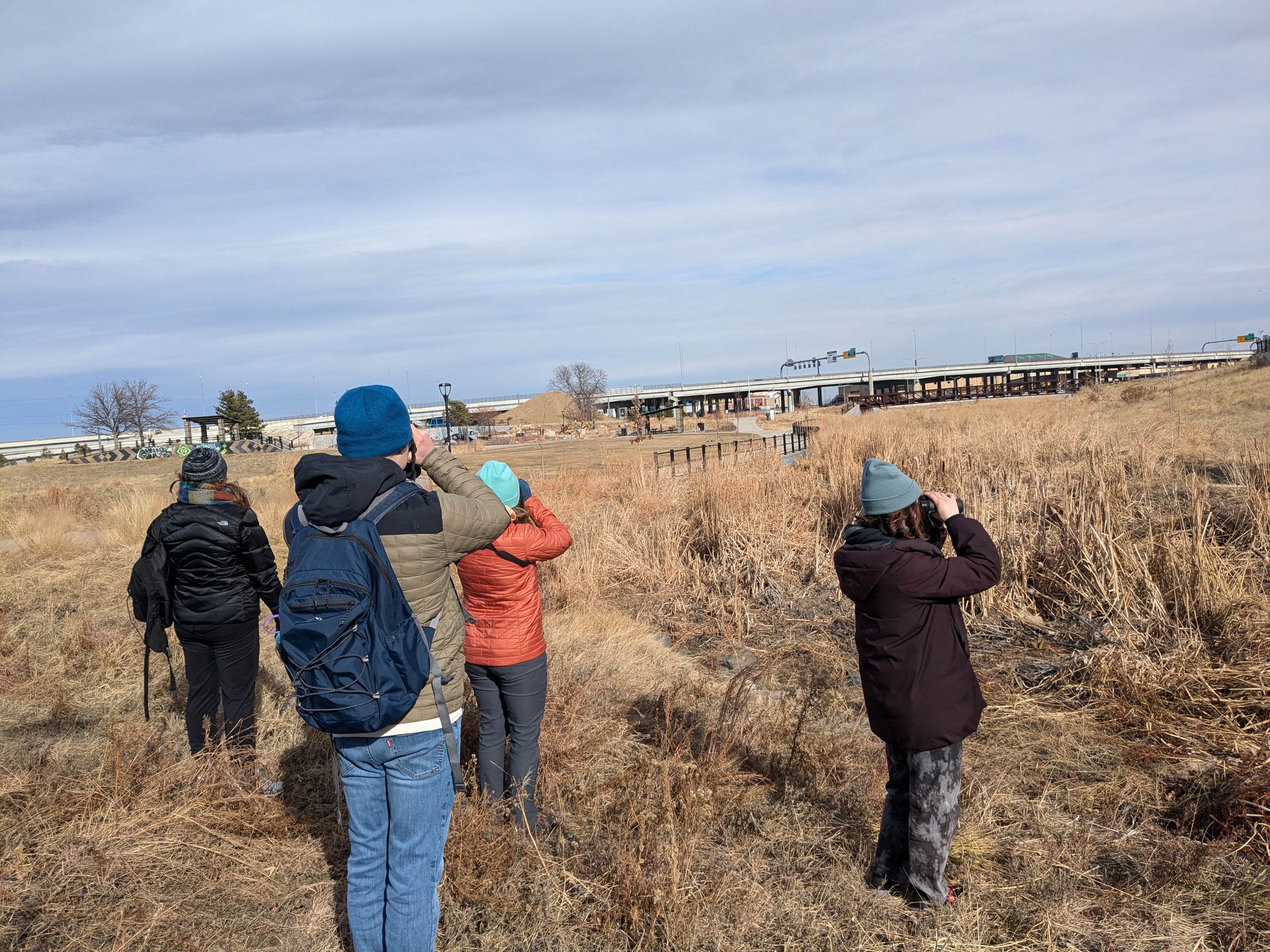 Denver Urban Bird Count